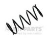 NIPPARTS N5553029 Coil Spring